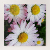 Drie schattige, roze dageraad legpuzzel (Horizontaal)