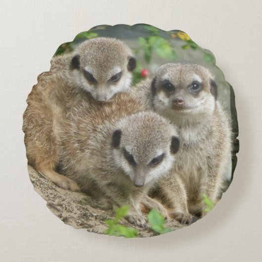 Drie Schattige Stokstaartjes Ronde Kussen (Voorkant)