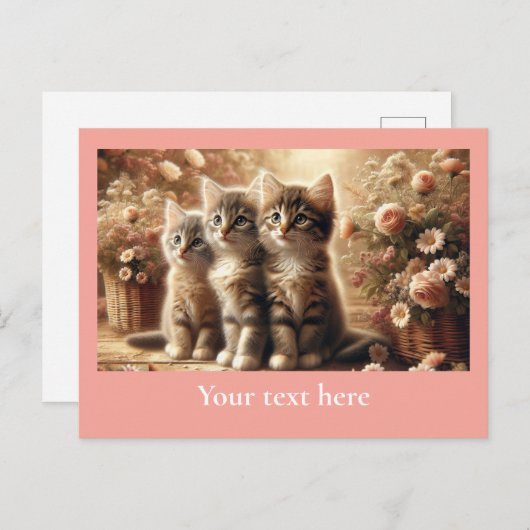 Drie Schattige Tabby Kittens met bloemen Briefkaart (Voorkant / Achterkant)