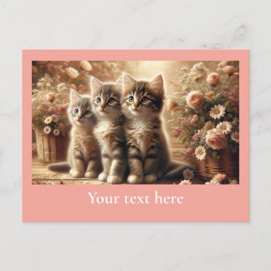 Drie Schattige Tabby Kittens met bloemen Briefkaart (Voorkant)