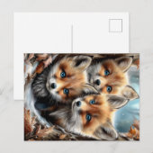 Drie schattige vosjes in het bos briefkaart (Voorkant / Achterkant)