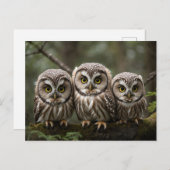Drie Schattigee Baby uilen met grote ogen Briefkaart (Voorkant / Achterkant)