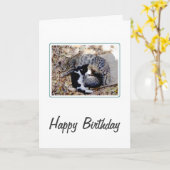 Drie Schattigee katten in slaap gekruld verjaardag Kaart (Gele Bloem)