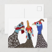 Drie Schattigee parelhoenvogels Briefkaart (Voorkant / Achterkant)