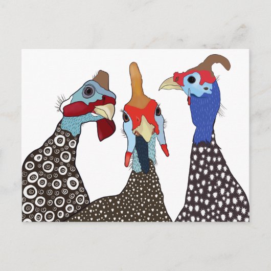 Drie Schattigee parelhoenvogels Briefkaart (Voorkant)