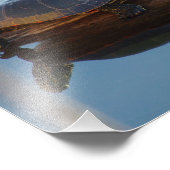 Drie schildpadden op een log foto vergroting foto afdruk (Hoek)