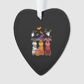 Drie Schnauzer Witch Pet Cute Halloween Gifts Ornament (voorkant)