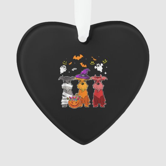 Drie Schnauzer Witch Pet Cute Halloween Gifts Ornament (voorkant)