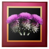 Drie Schotse Thistles Tegeltje (Voorkant)