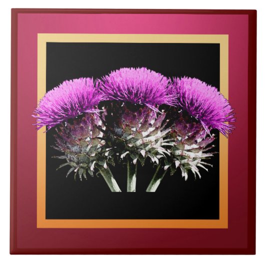 Drie Schotse Thistles Tegeltje (Voorkant)