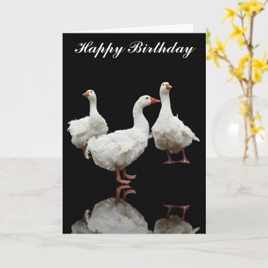 DRIE SEBASTOPOL GEESE FOTO BLACK WENSKAART KAART (Gele Bloem)