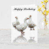 DRIE SEBASTOPOL GEESE OP WITTE WENSKAART KAART (Gele Bloem)