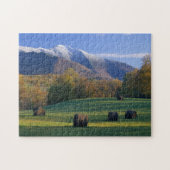 Drie Seizoenen Fotopuzzel met Gift Box Legpuzzel (Horizontaal)