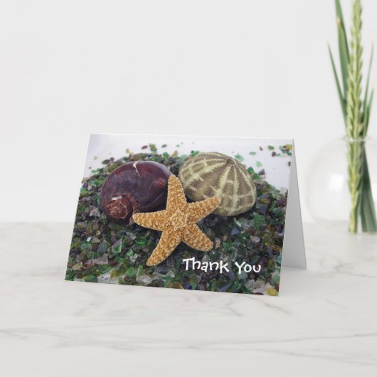 drie shells, danken u bedankkaart (Voorkant)