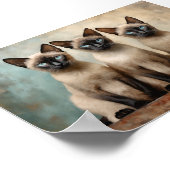 Drie Siamese katten Poster (Hoek)