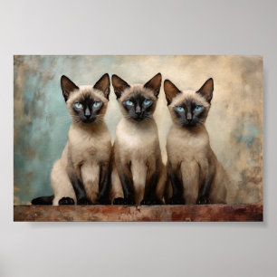 Drie Siamese katten Poster
