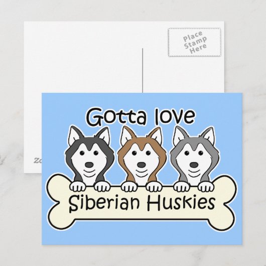 Drie Siberische Huskies Briefkaart (Voorkant / Achterkant)