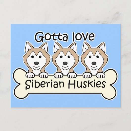 Drie Siberische Huskies Briefkaart (Voorkant)