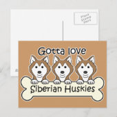 Drie Siberische Huskies Briefkaart (Voorkant / Achterkant)