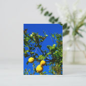 Drie Siciliaanse Lemons Briefkaart (Staand voorkant)