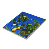 Drie Siciliaanse Lemons Tegeltje (Zijkant)