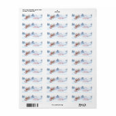 Drie Skiënde Eenden Retouradres Etiket (Full Sheet)