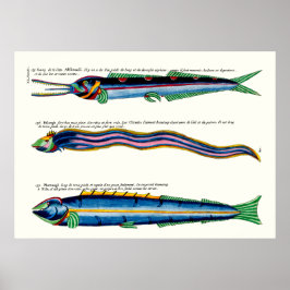 Drie Skinny Fish Poster op Antiek Wit