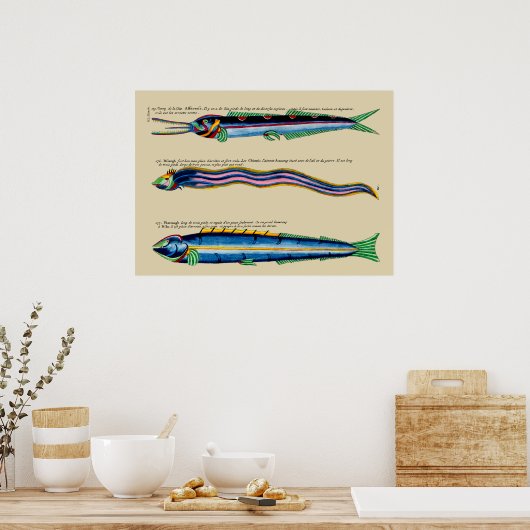 Drie Skinny Vissen op Om het even welk Achtergrond Poster (Keuken)