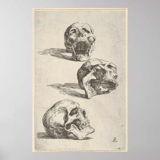 Drie Skulls Poster (Voorkant)