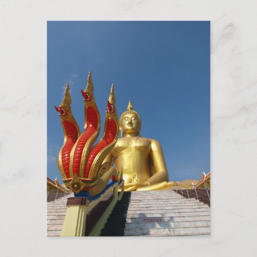 drie slangen briefkaart (Voorkant)