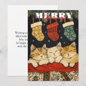 Drie slapende katten feestdagenkaart (Voorkant / Achterkant)