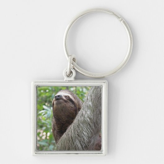 Drie Sleutelhanger met een sleuf (Voorkant)