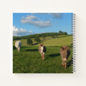 Drie sleutels in een Foto van het Gebied Notitieboek (Achterkant)