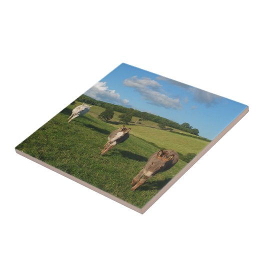 Drie sleutels in een Foto van het Gebied Tegeltje (Zijkant)