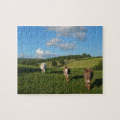 Drie sleutels in een veld legpuzzel (Horizontaal)