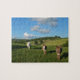 Drie sleutels in een veld legpuzzel