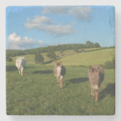 Drie sleutels in een veld stenen onderzetter (Voorkant)