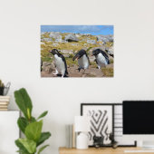 Drie Snares Penguins Poster (Thuiskantoor)