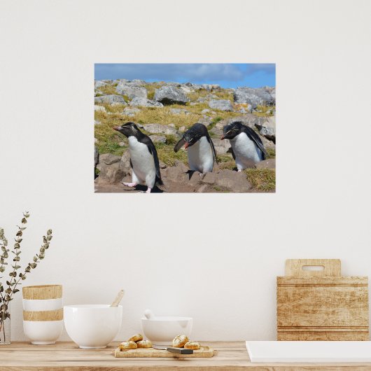 Drie Snares Penguins Poster (Keuken)