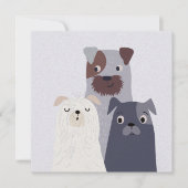 Drie speelse honden (Voorkant)