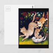 Drie speelse katten briefkaart (Voorkant / Achterkant)