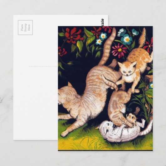 Drie speelse katten briefkaart (Voorkant / Achterkant)