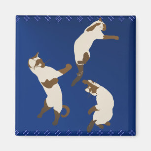 Drie speelse Siamese Magnet