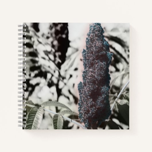 Drie spiraal notebook notitieboek (Voorkant)