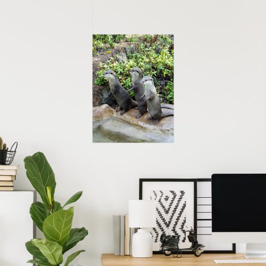 Drie Staande Otters, Poster (Thuiskantoor)