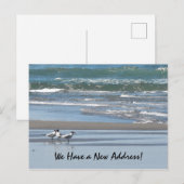 Drie sterns op een strand briefkaart (Voorkant / Achterkant)