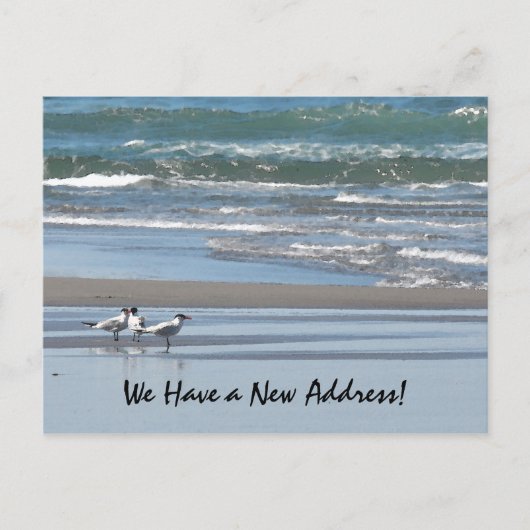 Drie sterns op een strand briefkaart (Voorkant)