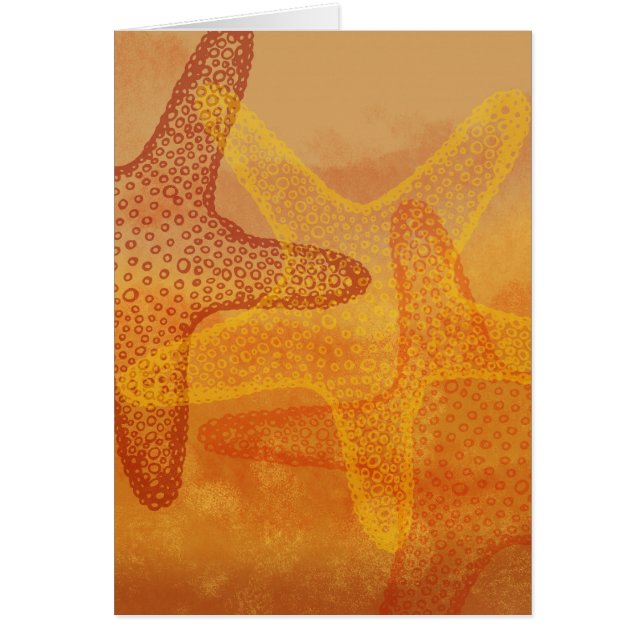 Drie sterren (Voorkant)