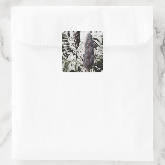 Drie stickers (Tas)