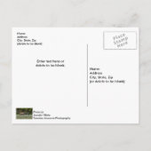 Drie stippen Elk strijden tegen blanco Briefkaart (Achterkant)